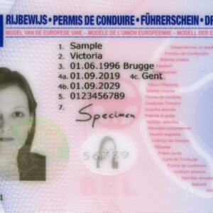 Buy Belgium Drivers License