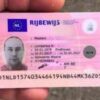 Netherlands driver's license